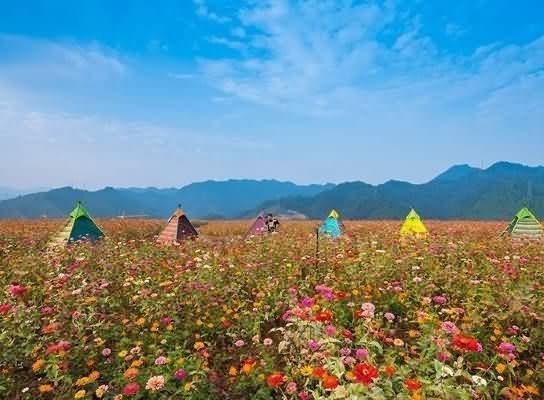 浙江千岛湖星空帐篷酒店