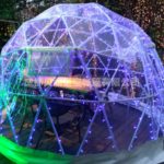 餐饮星空屋 网红户外球形星空帐篷