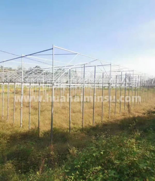 智能大型连栋温室大棚钢结构工程 园艺花卉蔬菜大棚玻璃温室阳光房