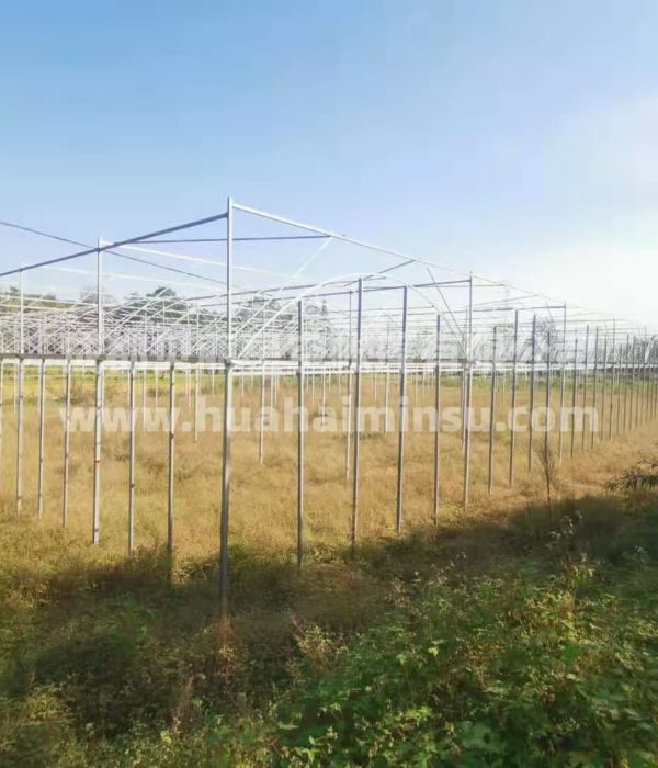 智能大型连栋温室大棚钢结构工程 园艺花卉蔬菜大棚玻璃温室阳光房