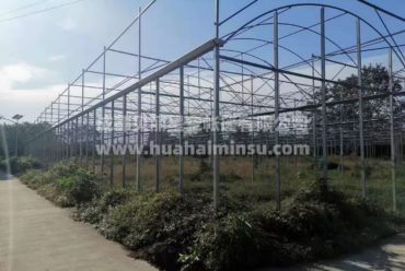 智能大型连栋温室大棚钢结构工程 园艺花卉蔬菜大棚玻璃温室阳光房