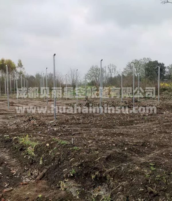 智能大型连栋温室大棚钢结构工程 园艺花卉蔬菜大棚玻璃温室阳光房