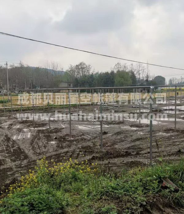 智能大型连栋温室大棚钢结构工程 园艺花卉蔬菜大棚玻璃温室阳光房