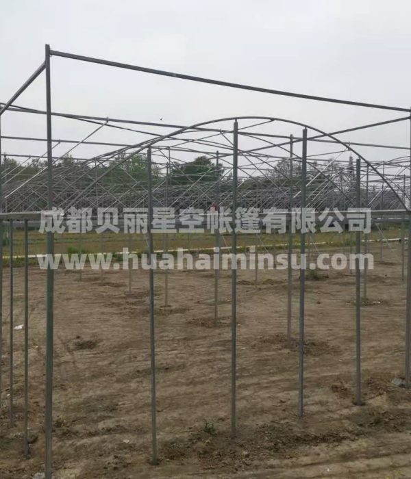智能大型连栋温室大棚钢结构工程 园艺花卉蔬菜大棚玻璃温室阳光房