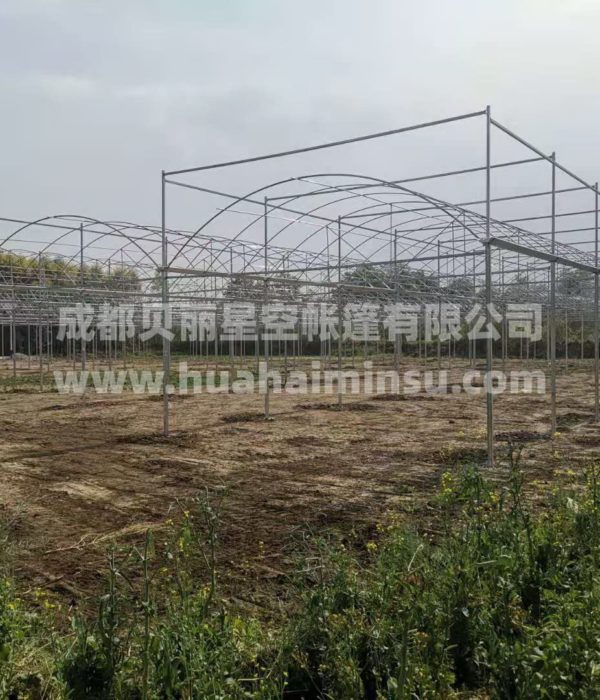 智能大型连栋温室大棚钢结构工程 园艺花卉蔬菜大棚玻璃温室阳光房