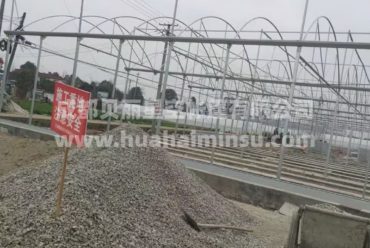 智能大型连栋温室大棚钢结构工程 园艺花卉蔬菜大棚玻璃温室阳光房