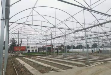 智能大型连栋温室大棚钢结构工程 园艺花卉蔬菜大棚玻璃温室阳光房