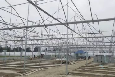 智能大型连栋温室大棚钢结构工程 园艺花卉蔬菜大棚玻璃温室阳光房