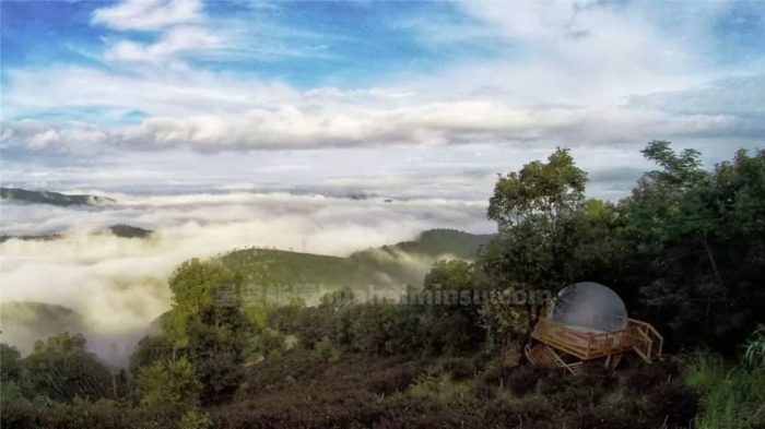 南糯山茶园泡泡屋星空房，躺在床上数星星