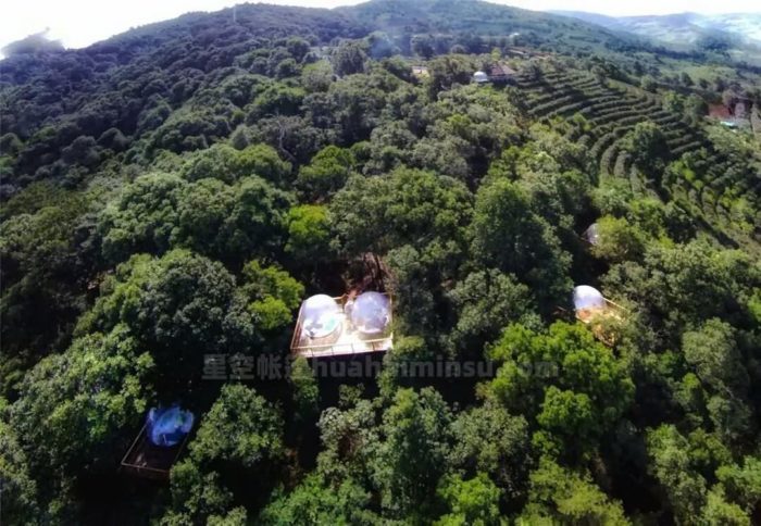 南糯山茶园泡泡屋星空房，躺在床上数星星