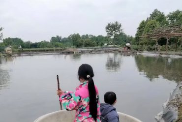 都江堰萤火虫养殖基地介绍，星空房与萤火虫一个都不能少