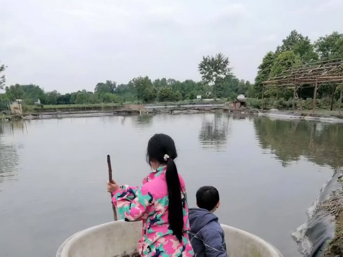 都江堰萤火虫养殖基地介绍，星空房与萤火虫一个都不能少